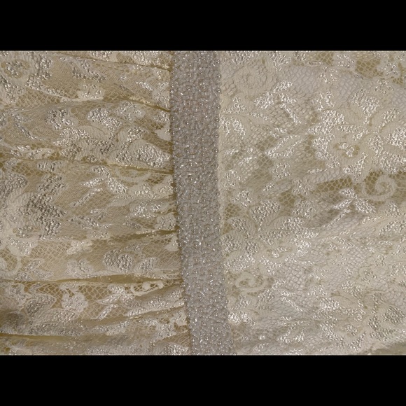 Ivory Lace Dress Lined - Picture 4 of 8